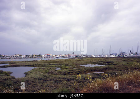 Costa de la Luz Isla Canela morale e Cristina spagna Zone Umide natura riserva Foto Stock