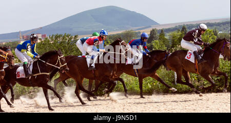 Corsa di cavalli per il premio Zekasheva,Russia. Foto Stock