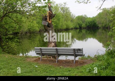 Un giorno nella palude e palude area del parco. Foto Stock