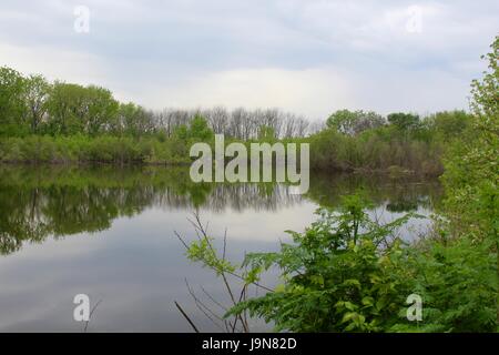 Un giorno nella palude e palude area del parco. Foto Stock