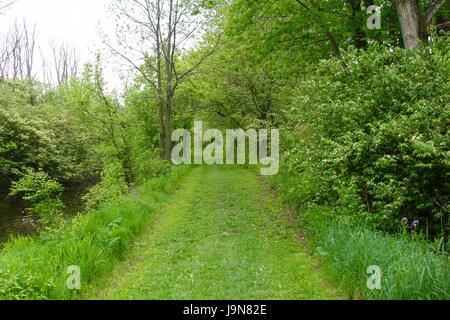 Un giorno nella palude e palude area del parco. Foto Stock