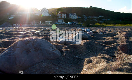 Serata di sole in spiaggia Foto Stock