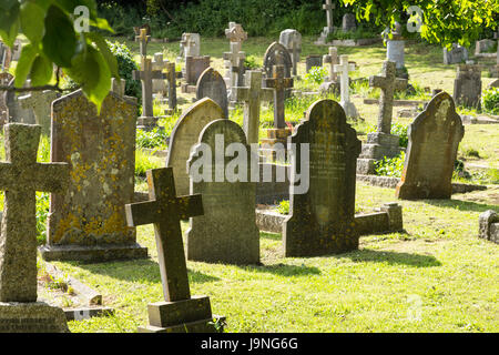Cimitero in disuso nella birra, Devon, cimitero non più in uso. Foto Stock