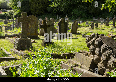 Cimitero in disuso nella birra, Devon, cimitero non più in uso. Foto Stock