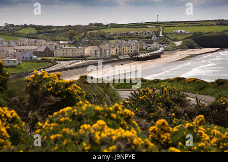 Nel Regno Unito, in Galles, Pembrokeshire, ampia oasi, la spiaggia e il lungomare Foto Stock