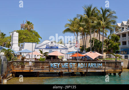 Key West Florida Aquarium uno della Florida acquari più vecchi Foto Stock