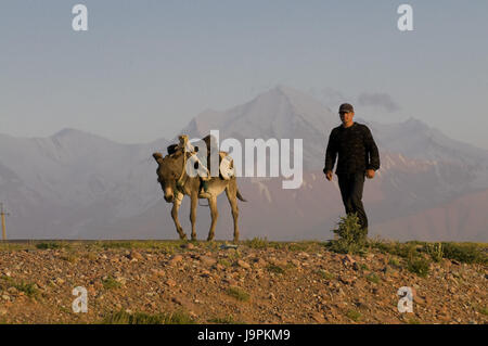 Uomo con donkey,montagne di Sary Tash in background,Kirghizistan, Foto Stock