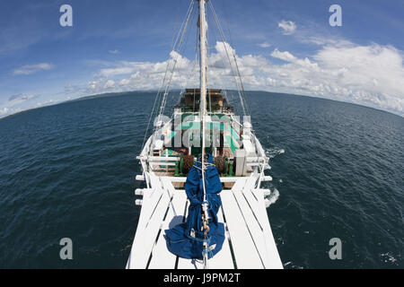 Crociera immersioni prima di Sorong,Raja Ampat,Papua occidentale,l'Indonesia, Foto Stock