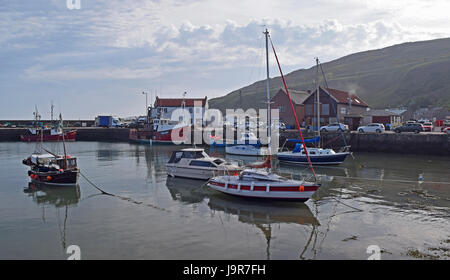 Gourdon Harbour, Aberdeenshire, Scozia Foto Stock