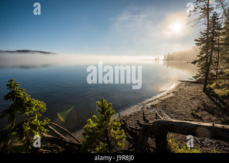 Una vista del Lago Yellowstone presso sunrise. Parco Nazionale di Yellowstone. Foto Stock