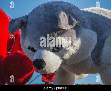 Animali impagliati premi presso la fiera della contea. Foto Stock