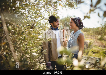 Sorridente coppia giovane nel mezzo di alberi sulla giornata di sole a fattoria di oliva Foto Stock