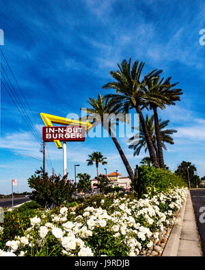 Un In-N-Out Hamburger in Modesto California Foto Stock