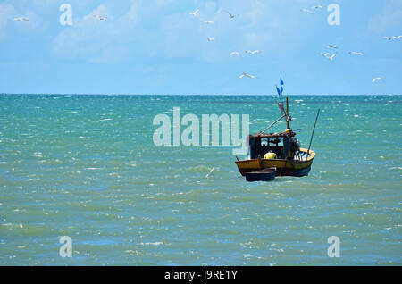 Fisherman's boat circondata da gabbiani in Porto Seguro, Bahia, Brasile. Foto Stock