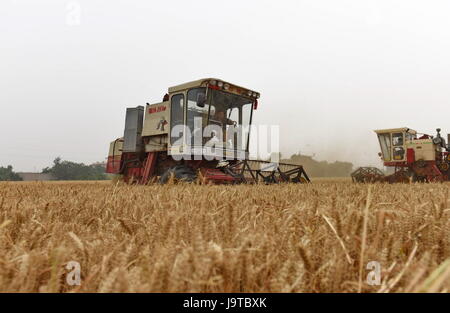 Shijiazhuang cinese nella provincia di Hebei. 2 Giugno, 2017. Mietitori di grano raccolto nei campi Liulin villaggio di Julu County, a nord della Cina di nella provincia di Hebei, Giugno 2, 2017. Credito: Yang Shiyao/Xinhua/Alamy Live News Foto Stock