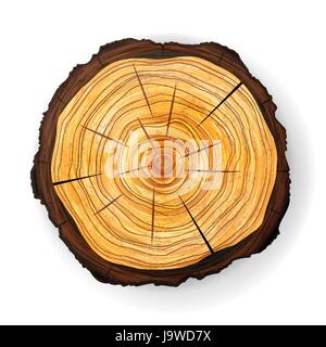 Sezione trasversale della struttura di un moncone di legno vettore. Taglio rotondo anelli annuali Illustrazione Vettoriale