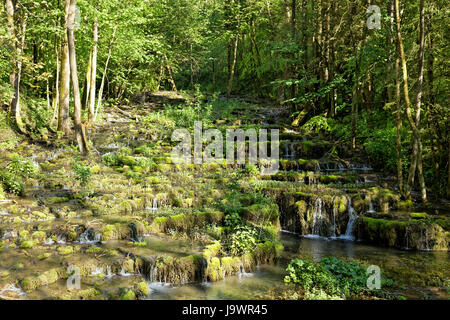 Terrazze di travertino, travertino creek nel monumento naturale Lillachtal, Weißenohe-Dorfhaus, Svizzera Francone naturale Foto Stock