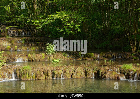 Terrazze di travertino, travertino creek nel monumento naturale Lillachtal, Weißenohe-Dorfhaus, Svizzera Francone naturale Foto Stock