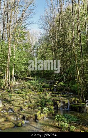 Terrazze di travertino, travertino creek nel monumento naturale Lillachtal, Weißenohe-Dorfhaus, Svizzera Francone naturale Foto Stock