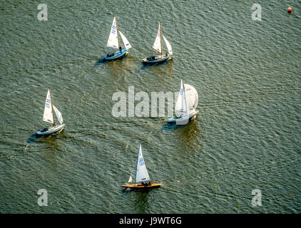 Regata a vela sul lago di Baldeney, barche a vela, Essen, la zona della Ruhr, Nord Reno-Westfalia, Germania Foto Stock