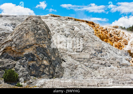 Carico acqua con calcio in esecuzione dalla sommità di una piccola collina a Mammoth Hot Springs hanno creato un multi-colore travertinel cascata Foto Stock