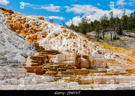 L'acqua che scorre verso il basso di una piccola collina a Mammoth Hot Springs ha creato un multi-colorate cascate di minerali che brilla al sole Foto Stock