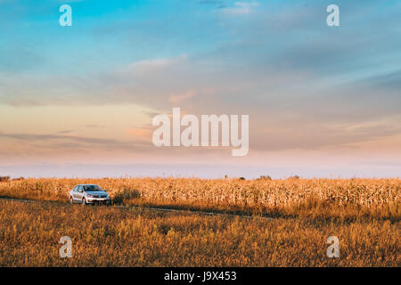 Gomel, Bielorussia - 14 Settembre 2016: Volkswagen Polo Vento berlina auto parcheggio nei pressi di strade di campagna nel campo d'autunno. Sunset Sunrise Sky su uno sfondo in Foto Stock