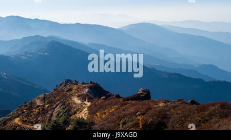 La gamma della montagna visto da Sandakphu, Darjeeling, India Foto Stock