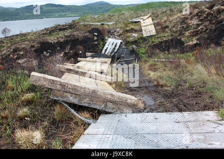 Sligo (kilkenny) bosco bruciato dopo l'incendio di boschi Foto Stock