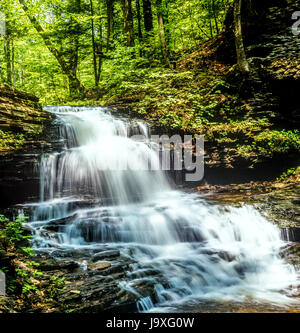 Ricketts Glen porti Glens Area Naturale, un cittadino Monumento Naturale Foto Stock