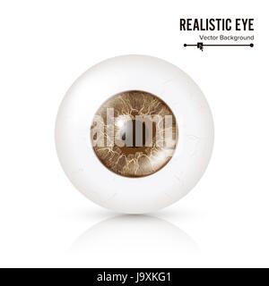 Foto realistiche Eyeball. Retina umana. Illustrazione Vettoriale di 3d umano occhio lucido con zone d'ombra e di riflessione. Vista frontale. Isolato su sfondo bianco Illustrazione Vettoriale