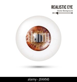 Foto realistiche Eyeball. Retina umana. Illustrazione Vettoriale di 3d umano occhio lucido con zone d'ombra e di riflessione. Vista frontale. Isolato su sfondo bianco Illustrazione Vettoriale