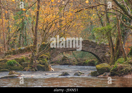 Hisley packhorse ponte sopra il fiume Bovey nr Lustleigh su Dartmoor. Foto Stock