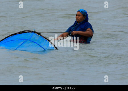 Una donna la cattura di gamberetti giovani sul fiume Kholpetua in la Sundarbans. Satkhira, Bangladesh. Foto Stock