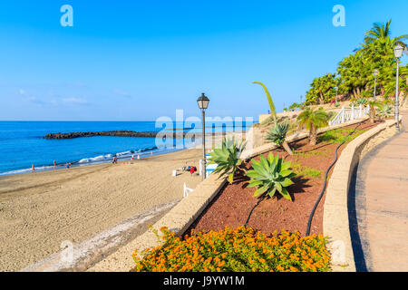 Fiori sulla passeggiata costiera con vista di El Duque Beach a Costa Adeje cittadina balneare, Tenerife, Isole Canarie, Spagna Foto Stock