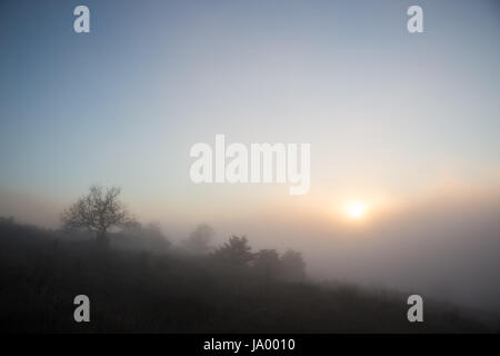 Bassa sun filtrando attraverso leggermente al di sopra della nebbia e nebbia, con alcuni alberi sagome Foto Stock