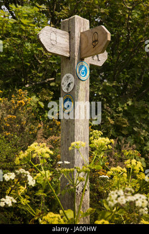 Nel Regno Unito, in Galles, Pembrokeshire, Solva, costa in legno di orientamento per il percorso Foto Stock