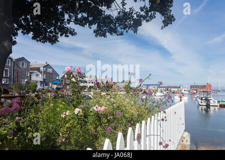 Vista panoramica di fiori e il motivo numero 1 in background in Rockport, MA. Foto Stock