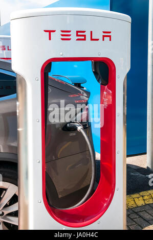 Auto elettrica la ricarica in corrispondenza di un punto di ricarica per Tesla auto elettrica che mostra il nome di Tesla e il logo Foto Stock