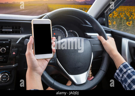 Giovane donna driver utilizzando il touch screen smartphone e mano che tiene il volante in un auto con campo di girasole al crepuscolo tempo di sfondo Foto Stock