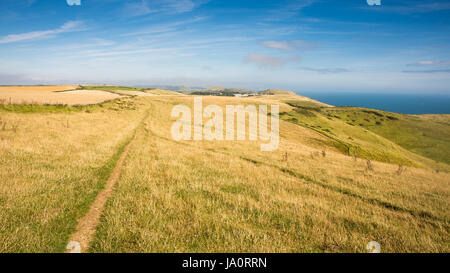 Un sentiero corre attraverso prati sul paesaggio di rotolamento del Purbeck Hills sopra l'Inghilterra del Jurassic Coast in sud Dorset. Foto Stock