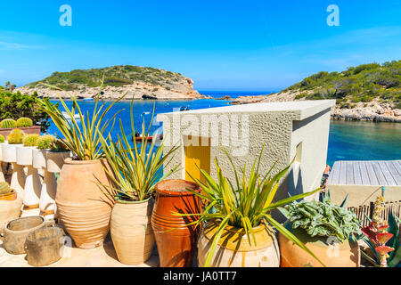 Piante tropicali in vasi di fronte casa piccola e vista di Cala Portinatx bay, isola di Ibiza, Spagna Foto Stock