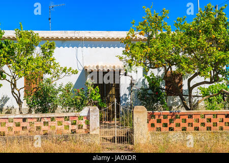 Vecchia casa con alberi di limone in giardino sull isola di Ibiza, Spagna Foto Stock