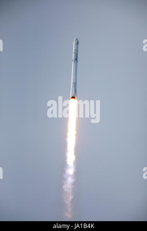 Cape Canaveral, Stati Uniti d'America. 03 Giugno, 2017. La SpaceX Falcon 9 a razzo con il Drago a bordo veicolo spaziale di blasti fuori dal complesso di lancio 39A presso il Kennedy Space Center Giugno 3, 2017 in Cape Canaveral, in Florida. Dragon sta portando quasi 6.000 libbre di scienza ricerca, equipaggio di materiali di consumo e di hardware per la Stazione Spaziale Internazionale. Credito: Planetpix/Alamy Live News Foto Stock