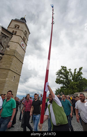 Bogen, Germania. Il 4 giugno, 2017. I pellegrini portano un 13 metri di lunghezza e 50 chilogrammo pesante tronco di abete rosso avvolto in cera rossa da Holzkirchen lungo una 75 km lungo la via per la chiesa di pellegrinaggio sulla montagna Bogenberg a Bogen, Germania, il 4 giugno 2017. Il pellegrinaggio di candela ("Kerzenwallfahrt'), che richiede un sacco di forza e abilità, è basato su un voto a partire dal 1492. Allora i residenti di Holzkirchen pregato per la Madre di Dio quando la regione è stata afflitta da scolitidi e tempeste. Foto: Armin Weigel/dpa/Alamy Live News Foto Stock