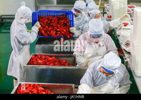 Huai an, cinese della provincia di Jiangsu. Il 4 giugno, 2017. Processo di lavoratori di gamberi di fiume presso un'azienda alimentare in Xuyi County, est cinese della provincia di Jiangsu, Giugno 4, 2017. Con l'innovazione di prodotto e di promozione della catena del freddo logistica, la contea annuale del valore di uscita di gamberi di fiume ha superato di dieci miliardi di yuan (circa 1,47 miliardi di dollari). Credito: Zhou Haijun/Xinhua/Alamy Live News Foto Stock