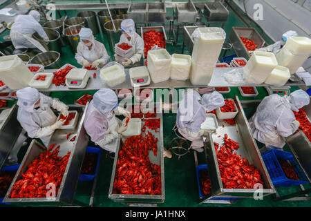 Huai an, cinese della provincia di Jiangsu. Il 4 giugno, 2017. Processo di lavoratori di gamberi di fiume presso un'azienda alimentare in Xuyi County, est cinese della provincia di Jiangsu, Giugno 4, 2017. Con l'innovazione di prodotto e di promozione della catena del freddo logistica, la contea annuale del valore di uscita di gamberi di fiume ha superato di dieci miliardi di yuan (circa 1,47 miliardi di dollari). Credito: Zhou Haijun/Xinhua/Alamy Live News Foto Stock