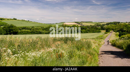 I ciclisti giro sul Nord Dorset Trailway cycleway e il sentiero che segue il percorso del Somerset in disuso e Dorset ferrovia attraverso terreni agricoli f Foto Stock