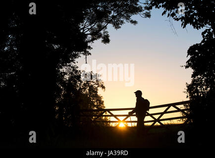 Silhouette walker in piedi da un gate all'alba nella campagna inglese. Cotswolds, Oxfordshire, Inghilterra Foto Stock