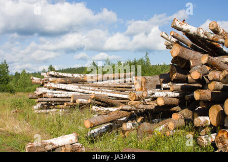 Logs giacciono su un prato verde Foto Stock